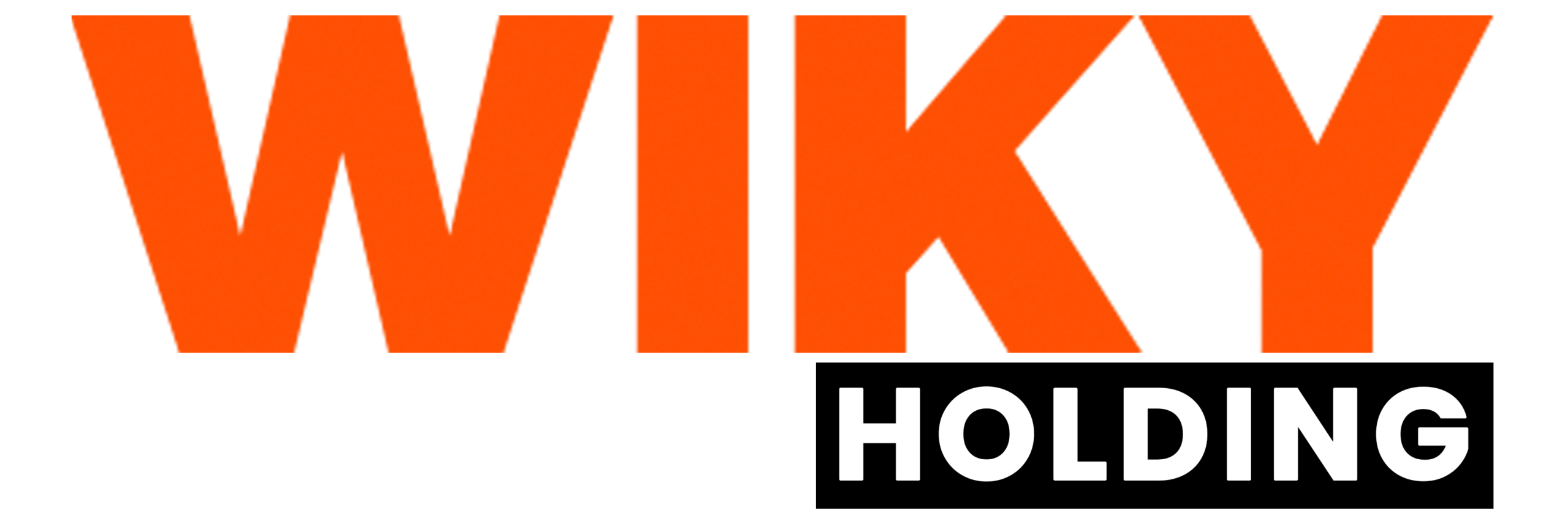 WIKY HOLDING